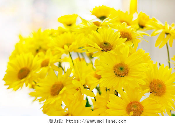 黄色菊花的花束